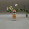 SP Equipoise (Boldenone-E) (RPL) 10ml|200mg Флакон