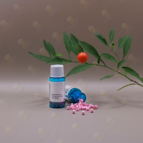 Methandienone 10mg/100tab (ZPHC)