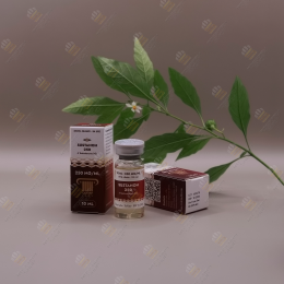 SUSTANON 250mg/10ml (OLYMP LABS) 