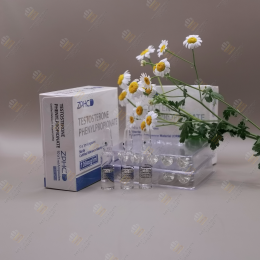 Testosterone PH 100mg/10amp (ZPHC) 